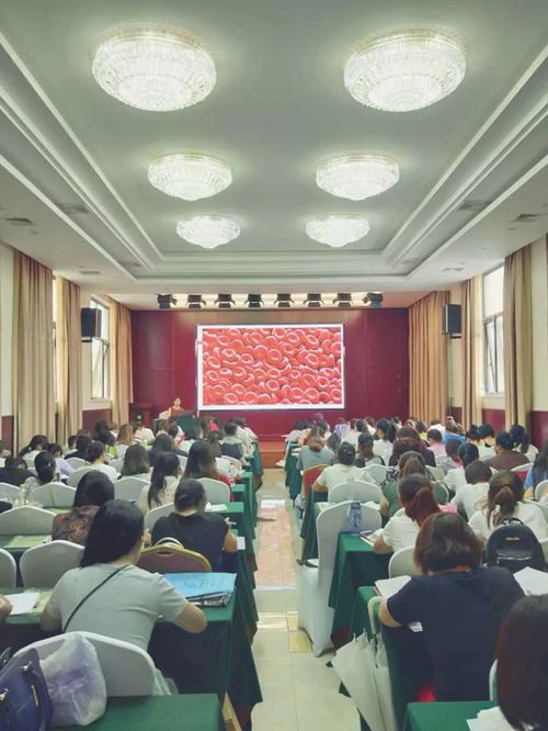 懷來(lái)職教中心保育員培訓(xùn)成果顯著 營(yíng)利性民辦職業(yè)技能培訓(xùn)機(jī)構(gòu)展現(xiàn)社會(huì)價(jià)值